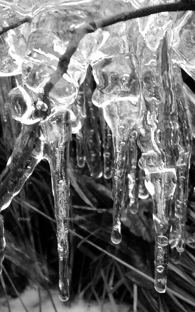 frozen water in nature closeup
