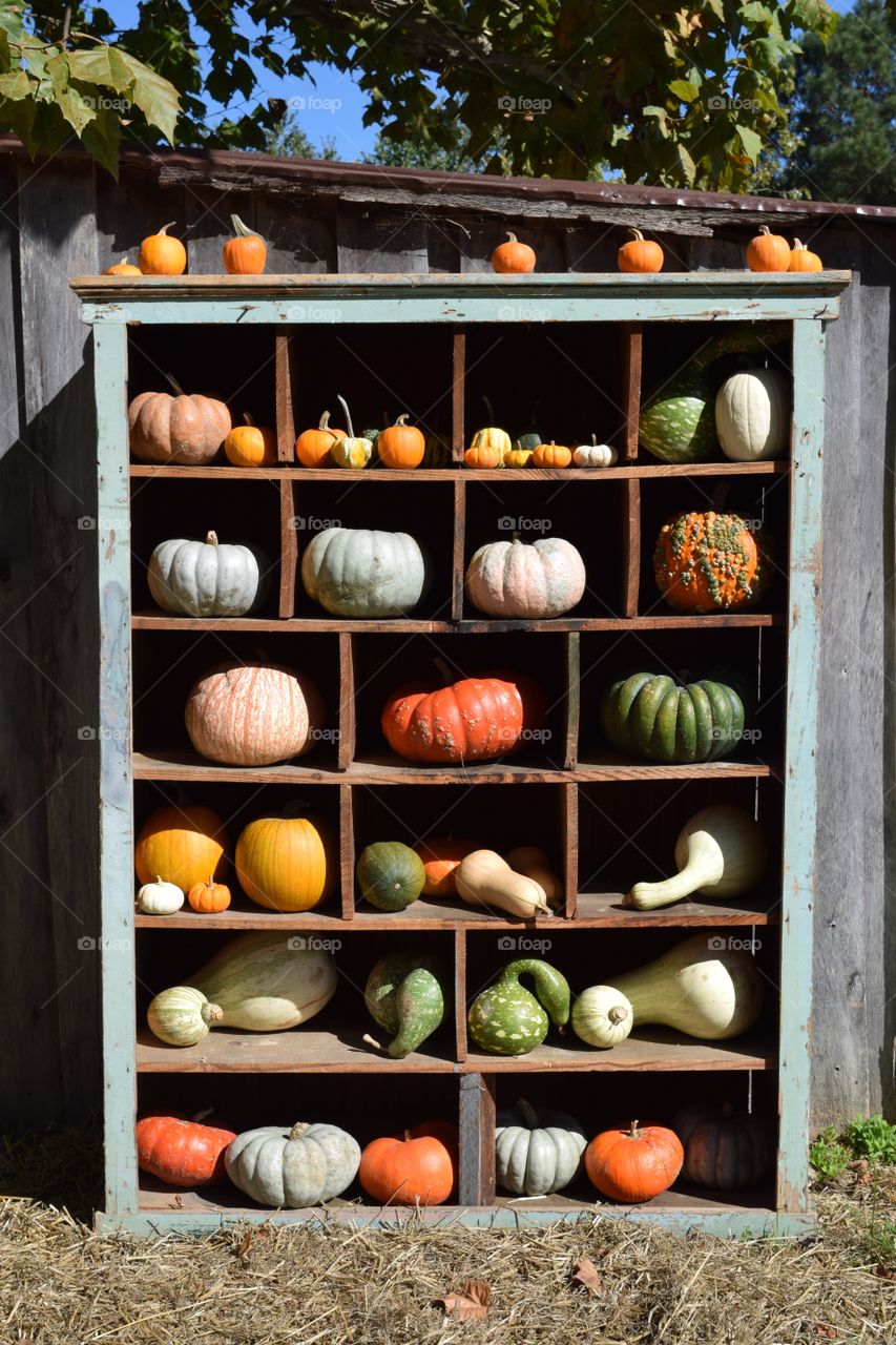 Outdoor Halloween decoration with a variety of pumpkins and gourds displayed in a rustic cupboard.