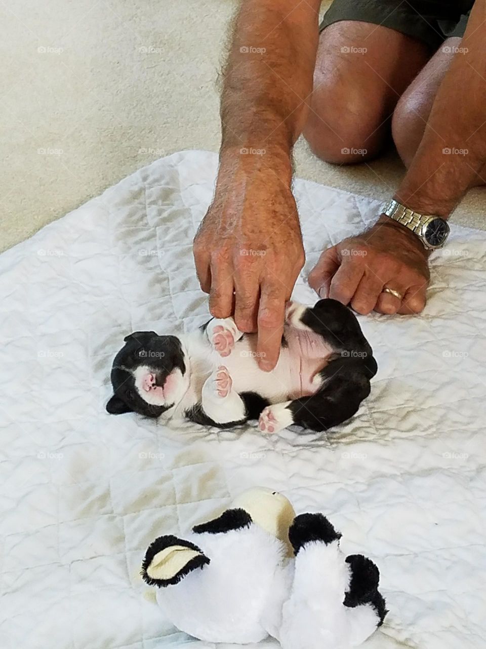 Sweet baby Milli getting a tummy tickle