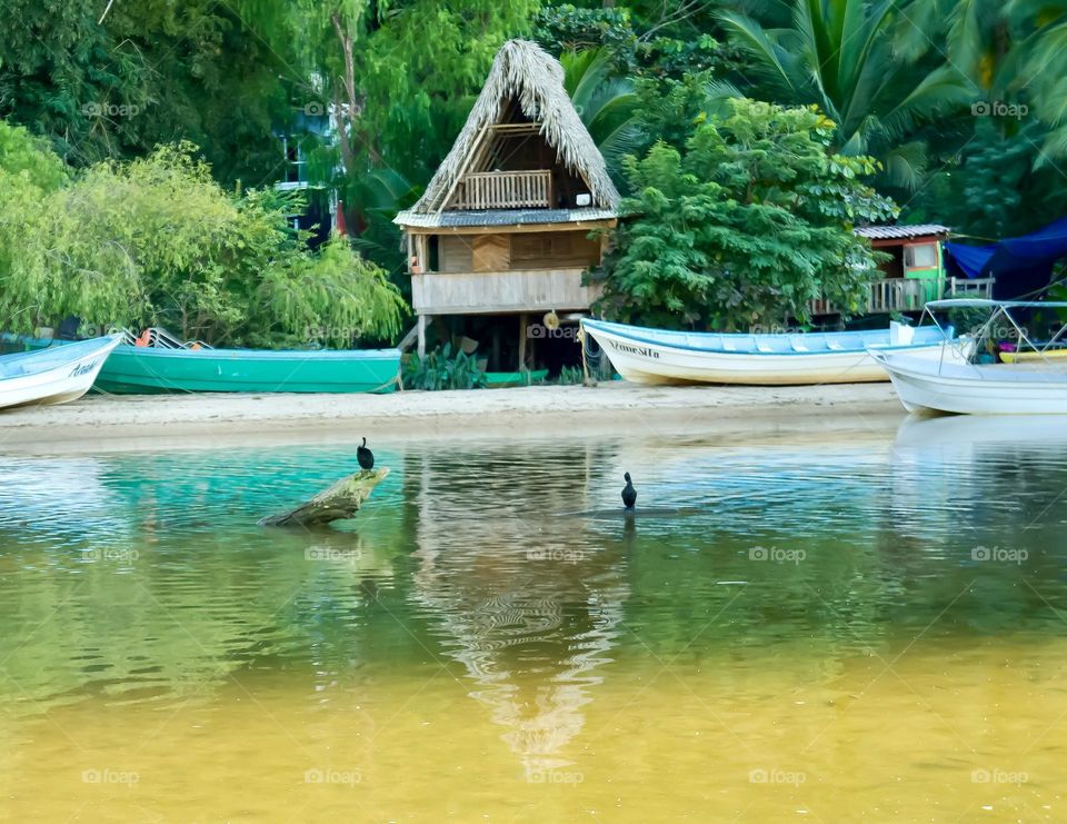 Pelapa covered home reflecting in the river.