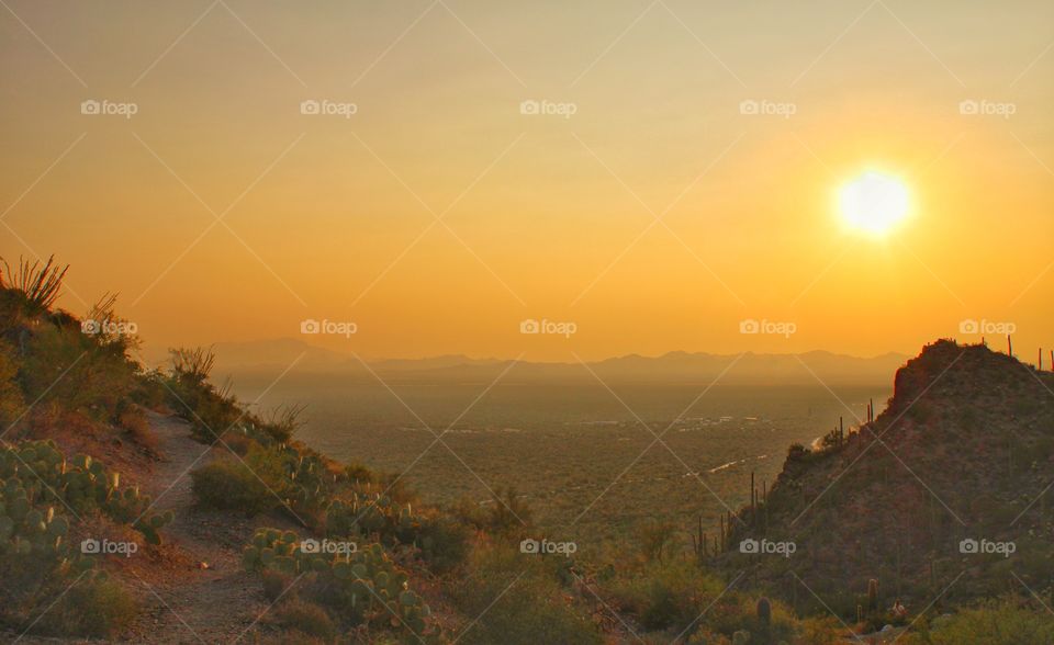 The desert and sunset - Arizona