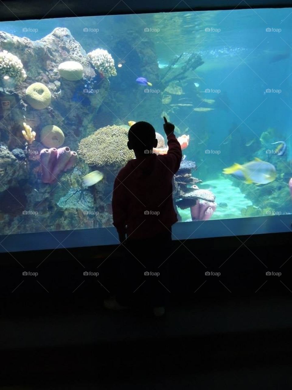 Fun at the aquarium