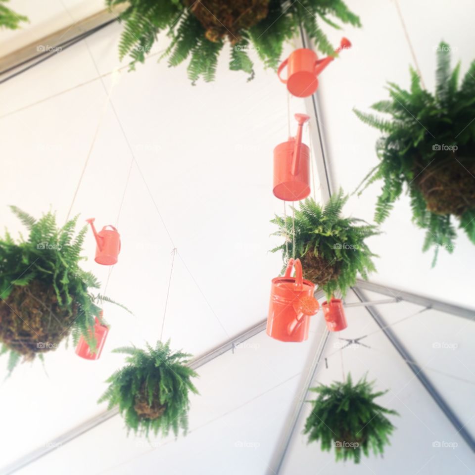 Tent Decor 