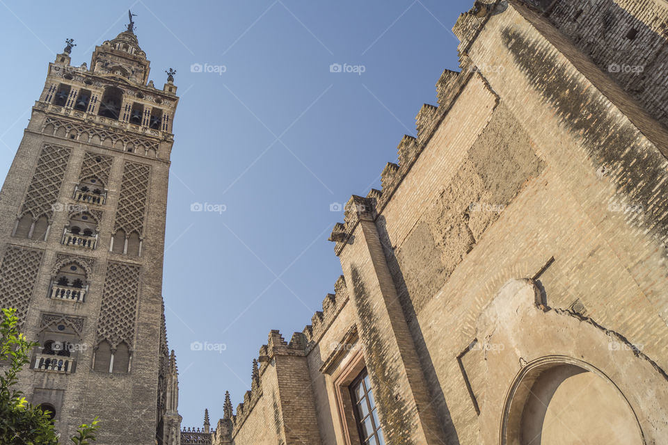 vista de la catedral de Sevilla y la giralda
