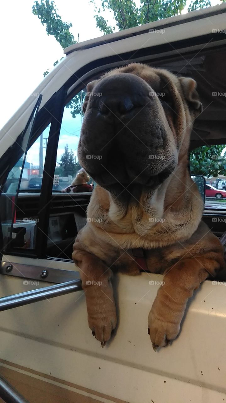 her sould is old and kindred