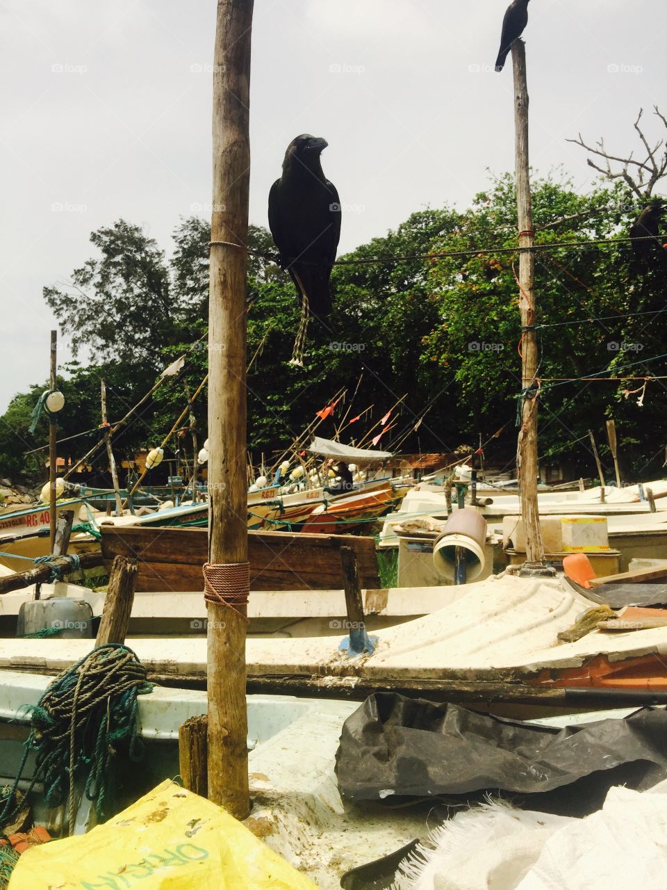 Galle fort fishing place 