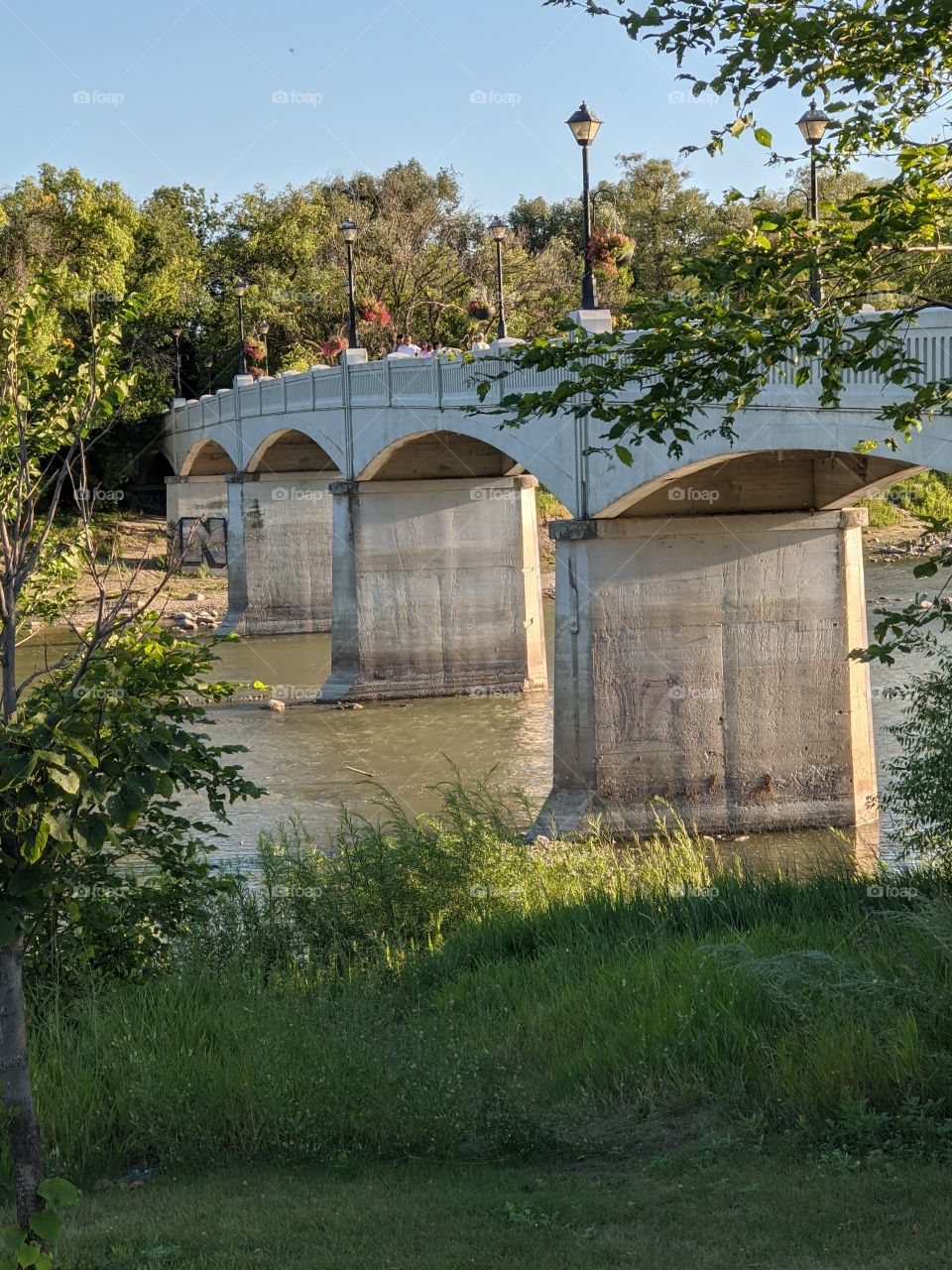 Bridge over the assinaboine river