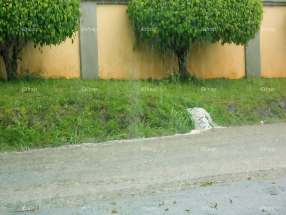Running Water on Rainy Day