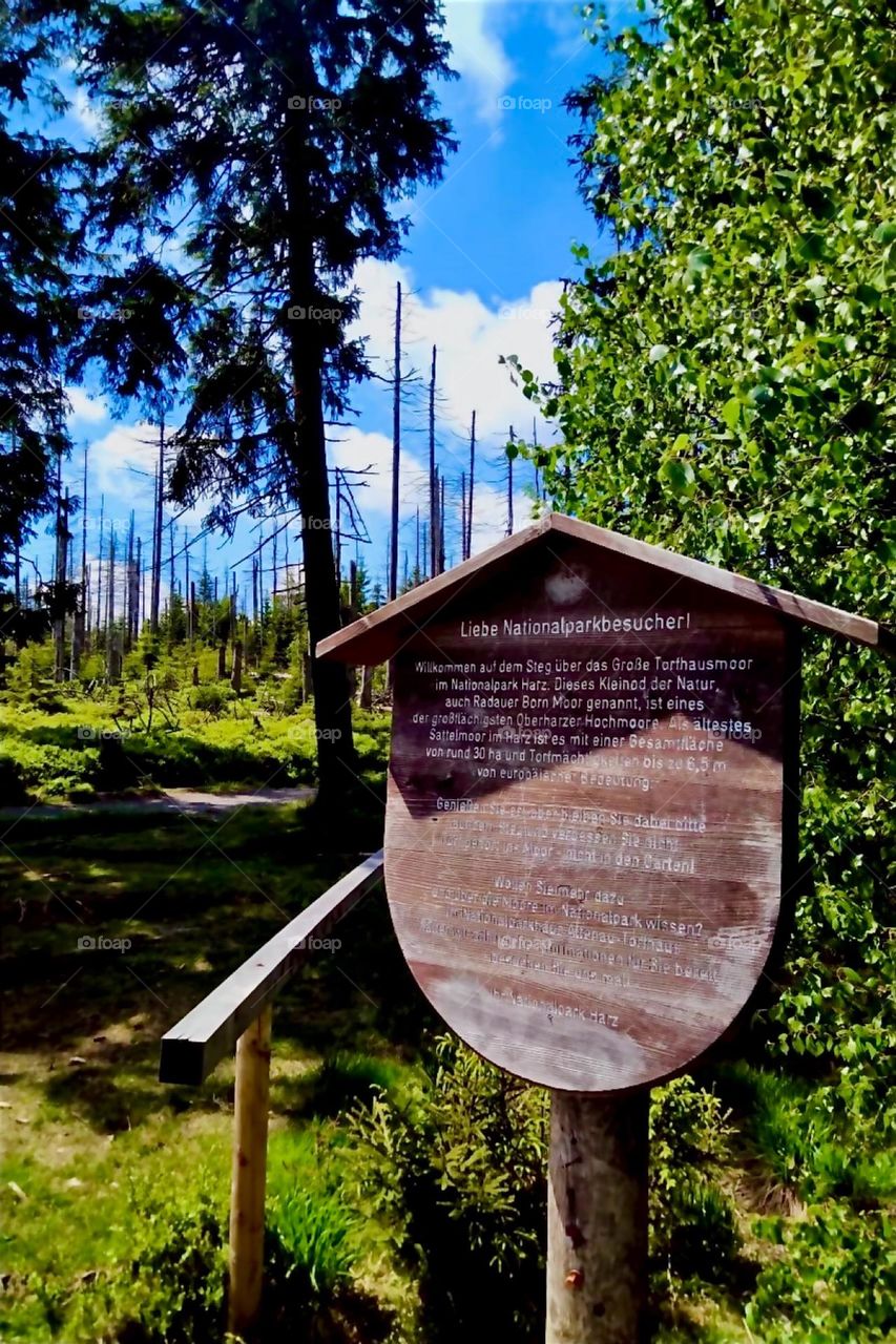 This is a sign with info about the „Harz National Park“ containing over 36 hectares of peat wetlands in the vicinity of „Torfhaus“ in „Harz“, „Saxony-Anhalt“ in former „East Germany“. 2024. Hypnotic Productions