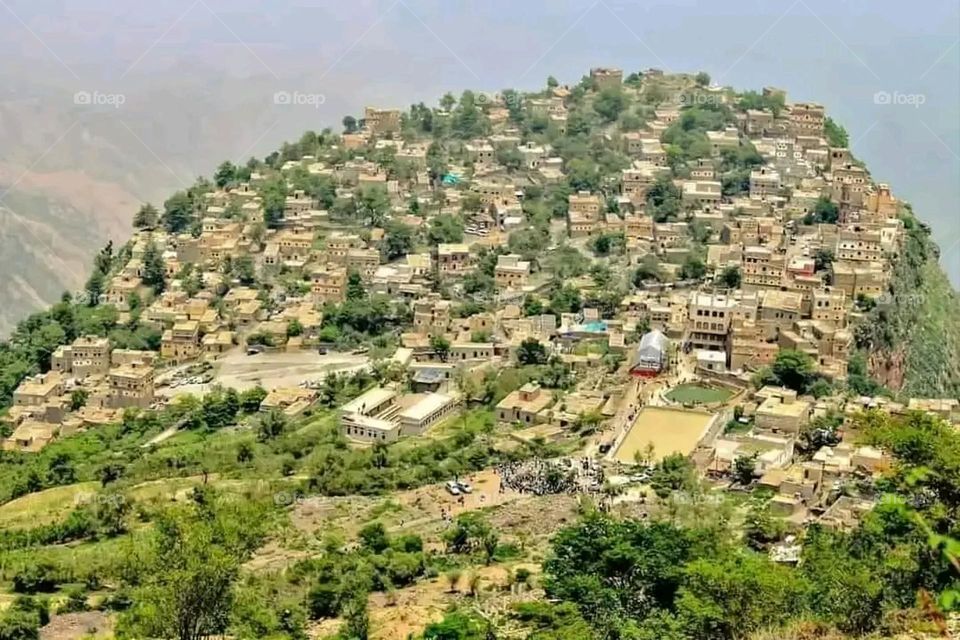 A very beautiful picture, and there is no better picture than it. There is no better picture of green herbs and colorful, red and white roses than it. Glory be to God, the natural and picturesque view, and there is no more