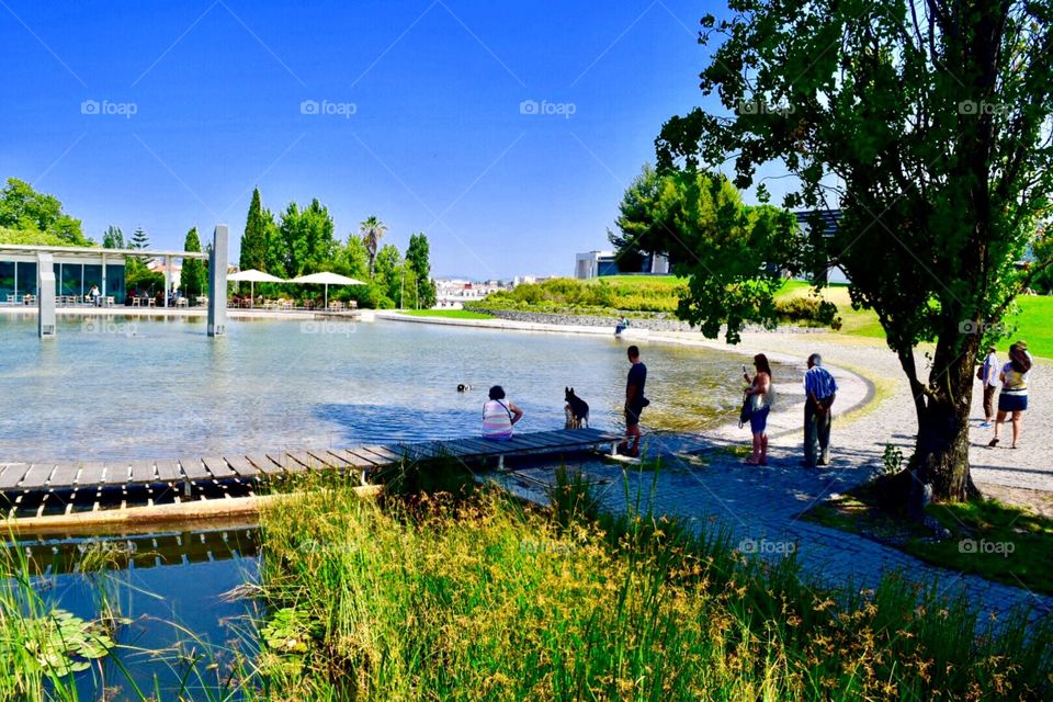 People enjoying weekend in the local park in Lisbon 