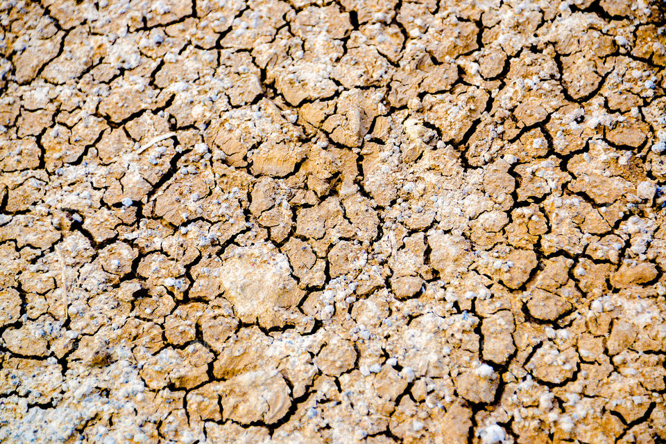 Directly above shot of cracked mud