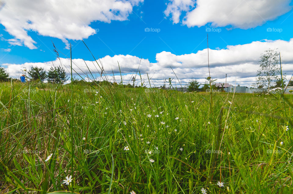 Landscape, blue and green