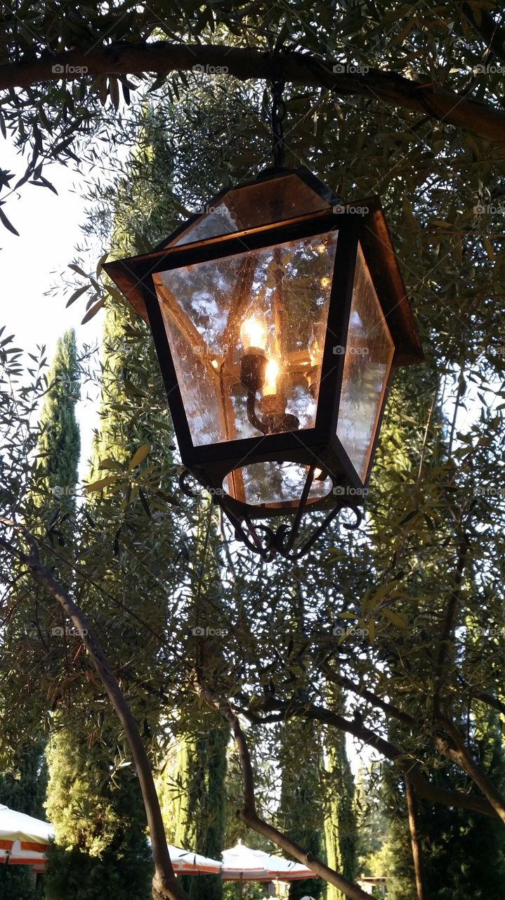 Hanging Lantern. Lantern hanging from a tree at the Rancho Bernardo Inn in San Diego, CA.