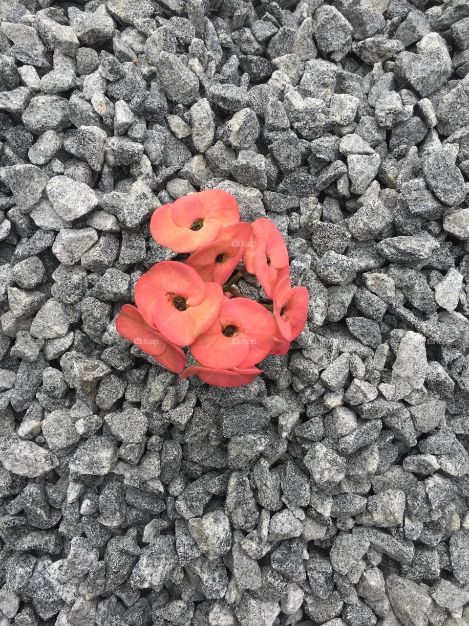 Colours can talk to the world ❤️💛💚💙💜