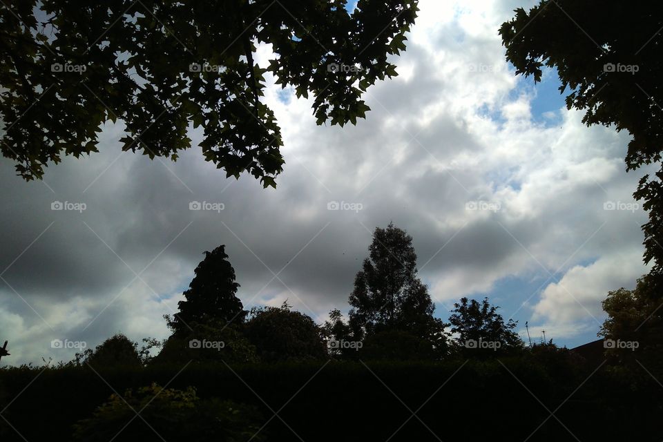 a few of my favourite things