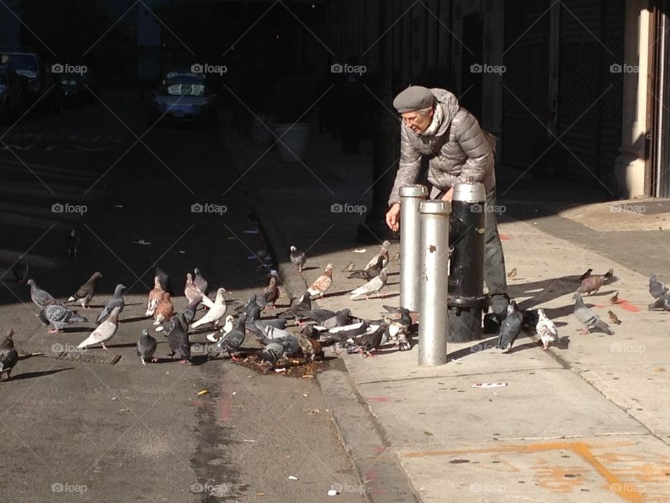 Feed the birds