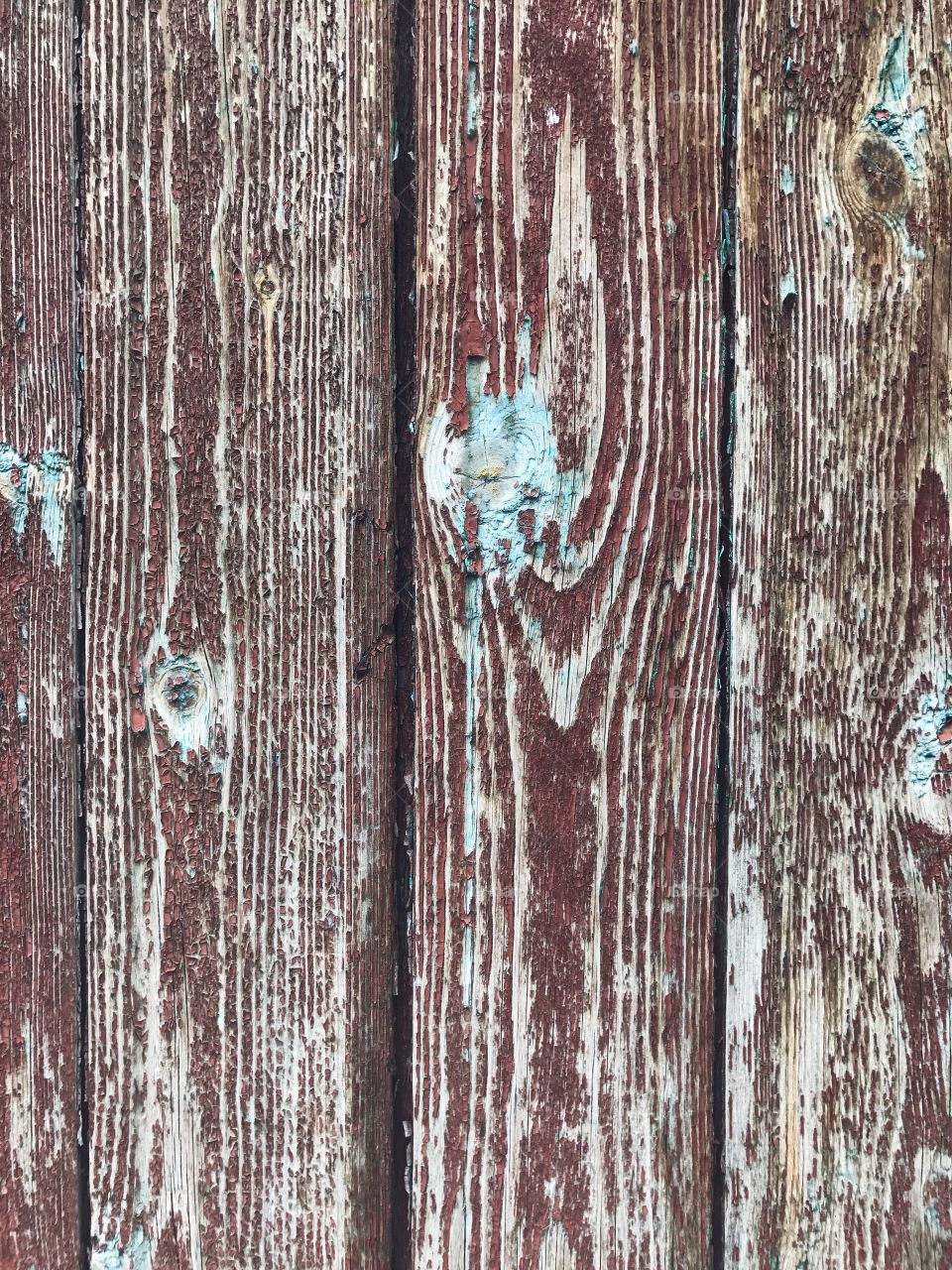 Close-up of a wood grain