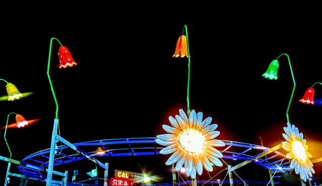 Family Kingdom