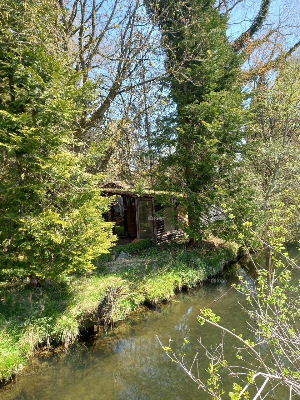 Old Shack by the River