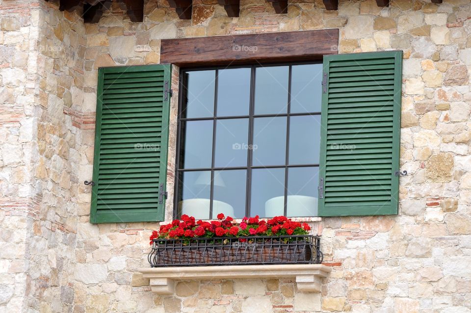 Red flower blooming in front of window