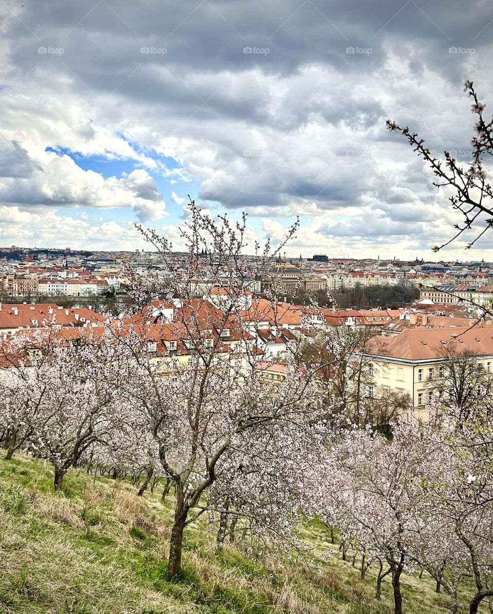 Prague , Mont Petrin March 2023 . 