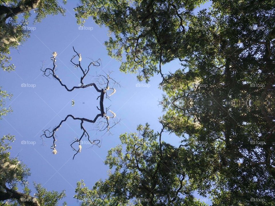 unique & creative & trippy