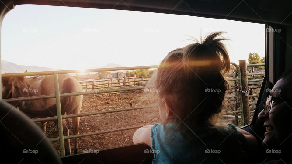 Rear view of girl looking at horse ranch from window of a car