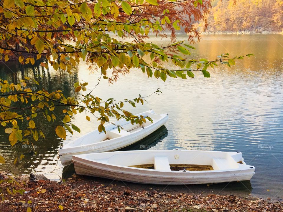 Boats in autumn