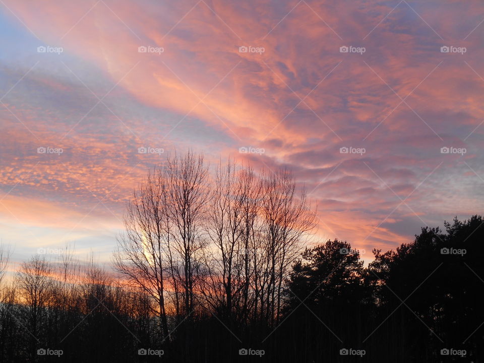 sunset sky colorful and trees landscape