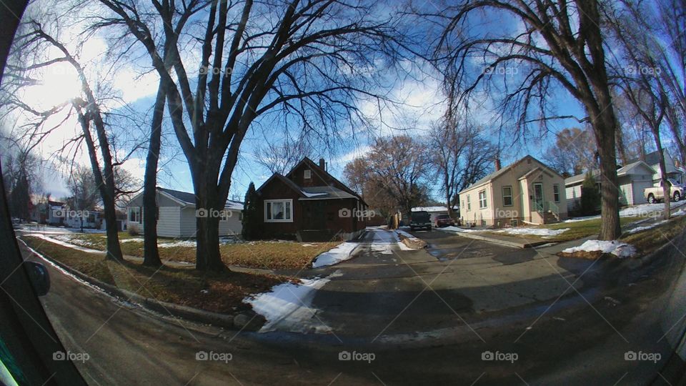 Home, No Person, Tree, House, Architecture