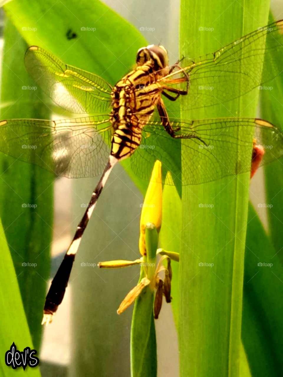 I want to take a rest for a while