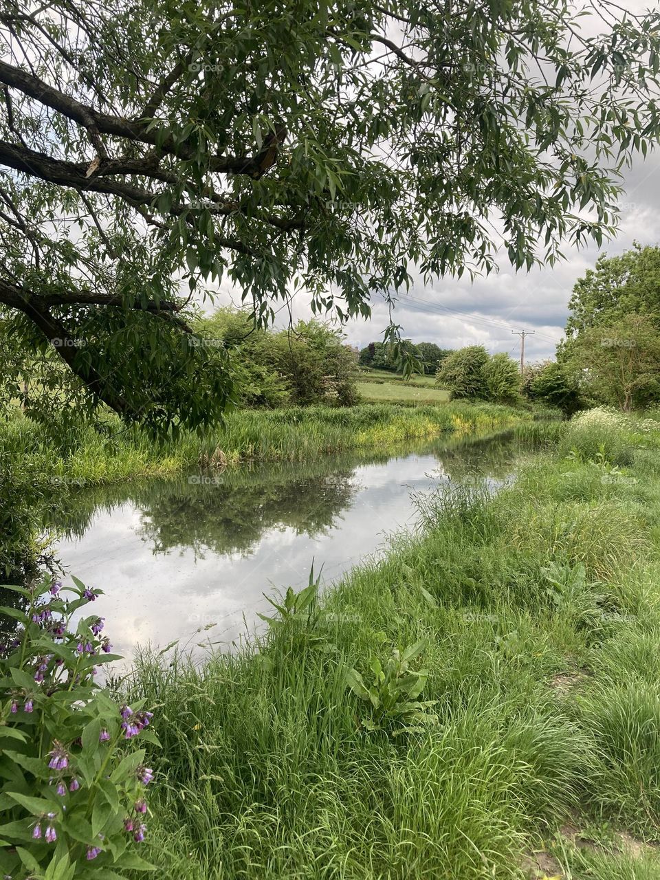 Beautiful day! For a stroll