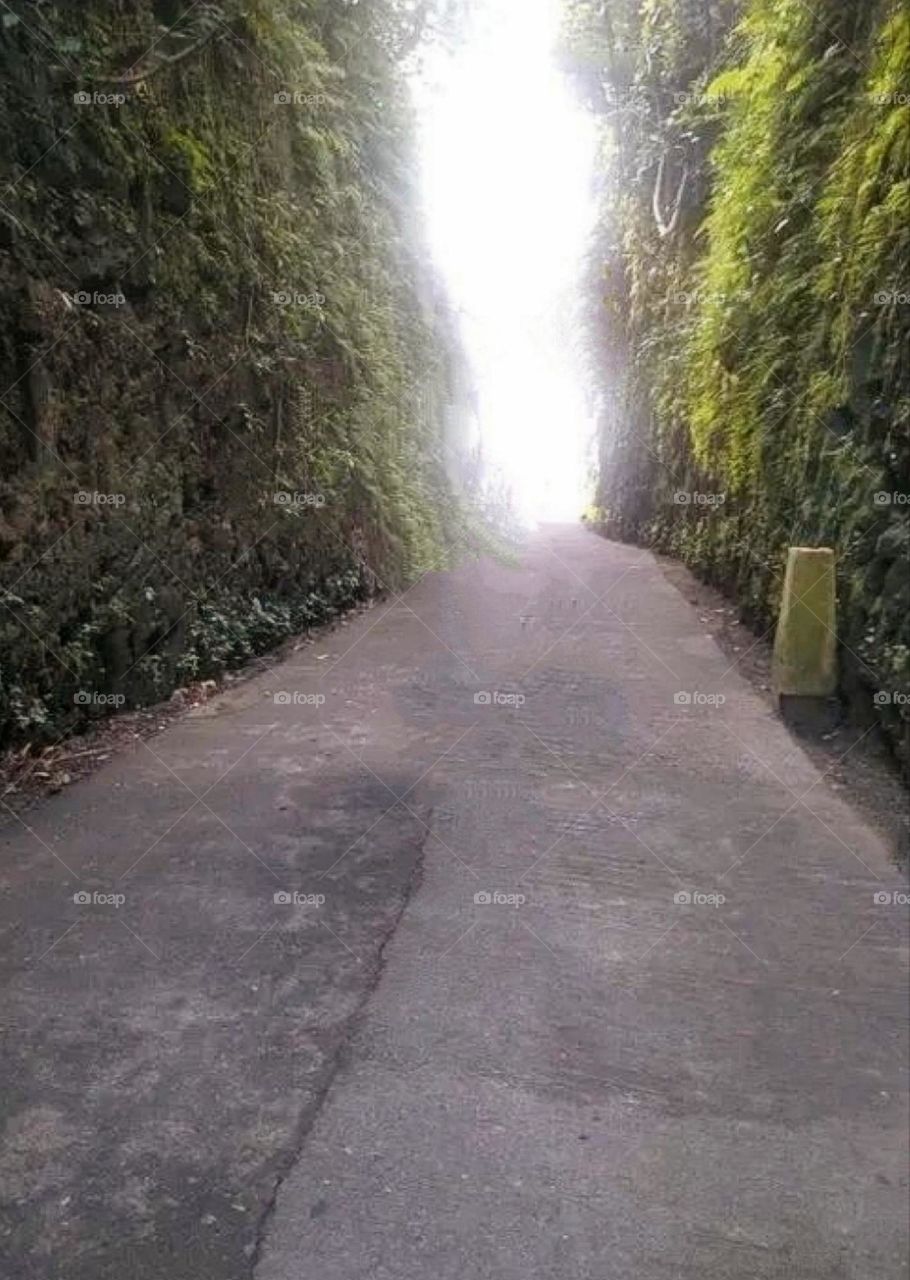 A most beautiful and attractive view of the village road.