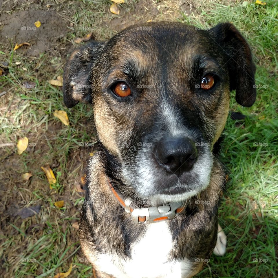 Sweet one named Pepper