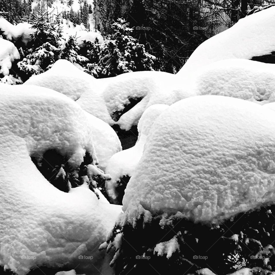 Snow a différent view