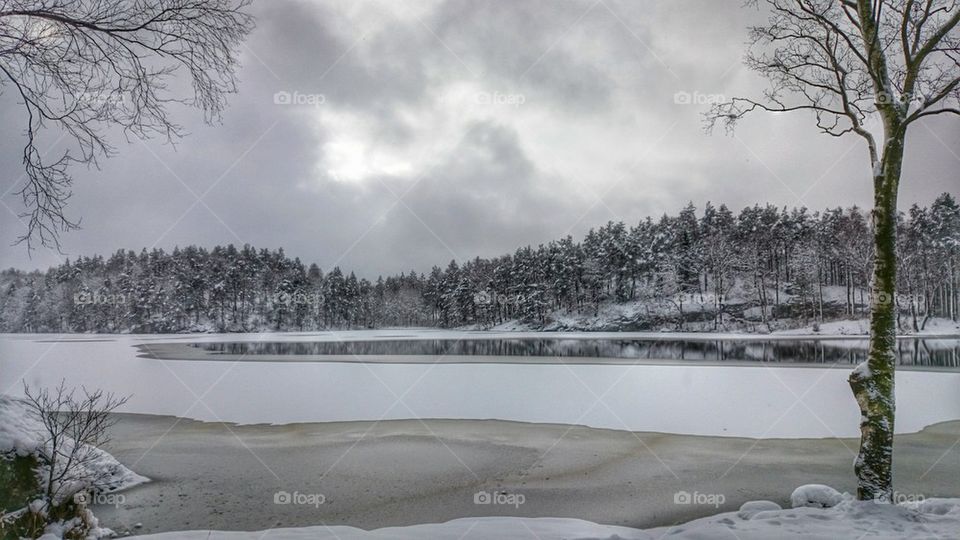 Frozen lake during winter