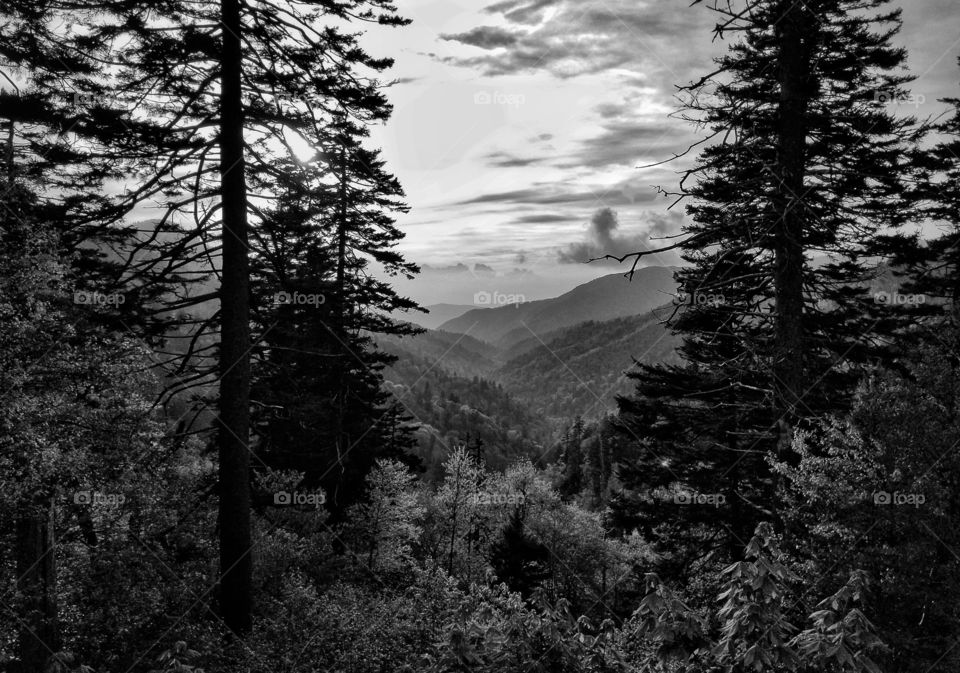 My favorite overlook on the way up to Newfound Gap in the Great Smoky Mountains National Park. Black and white edit.