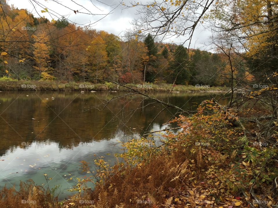 Fall in Pennsylvania 