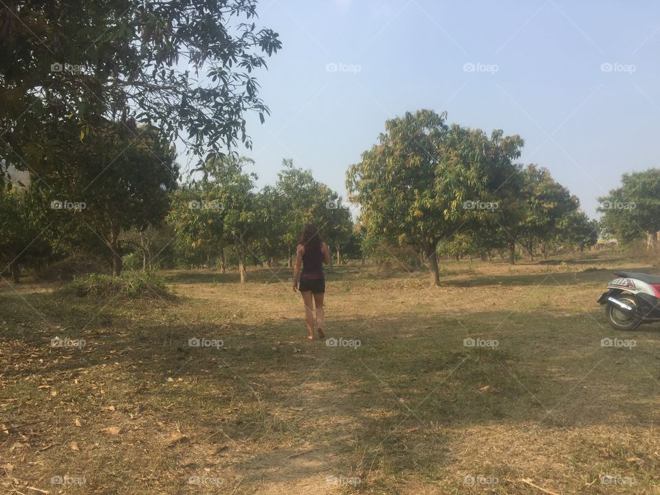 My friend walkin through the farm in chiang dao 