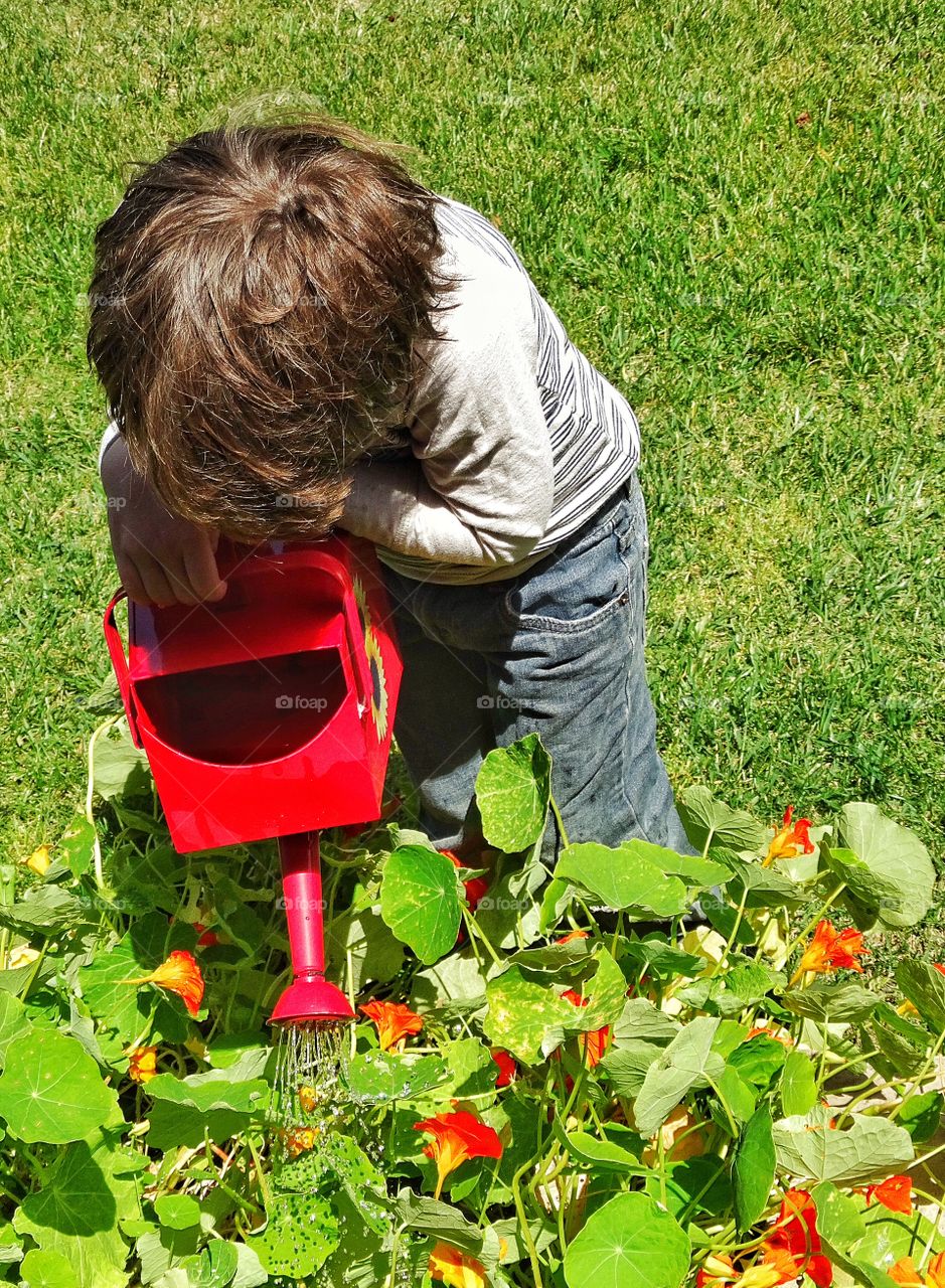 Little Boy Watering Flowers