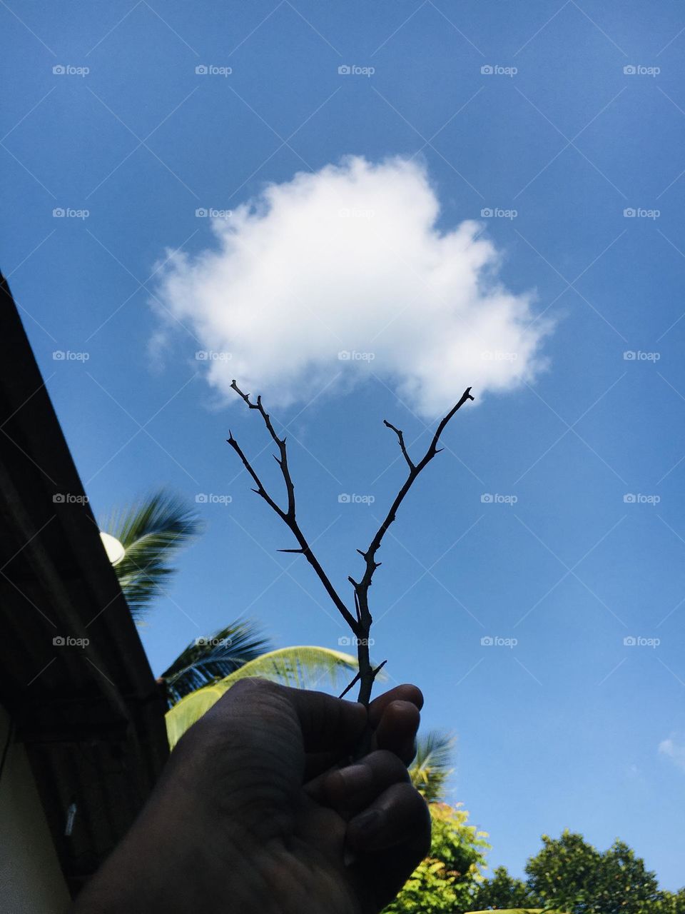 Sometimes the clouds in the sky are mistaken.