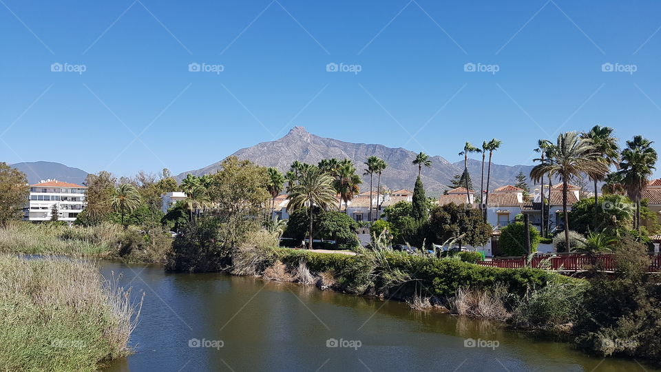 Water, Tree, Travel, Palm, Seashore