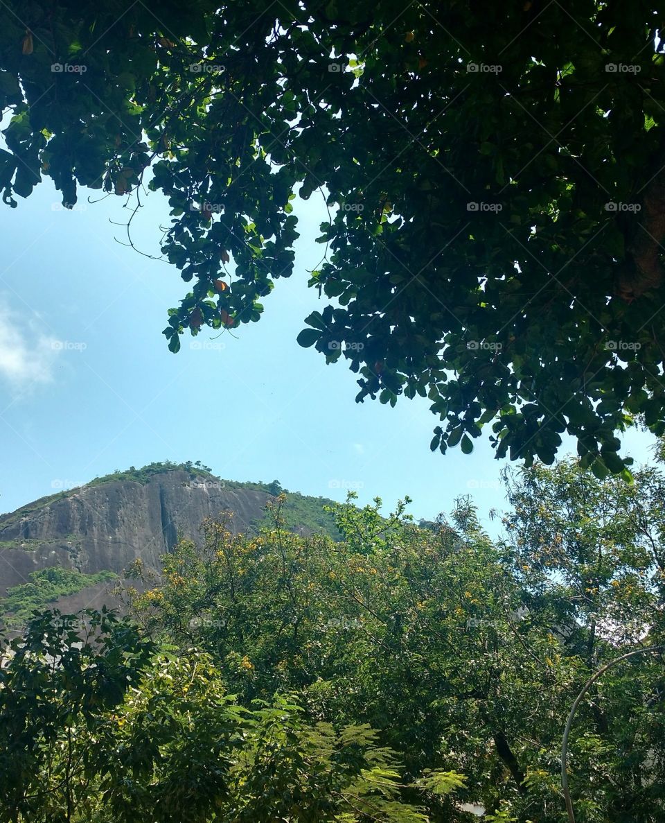 stone mountain and trees