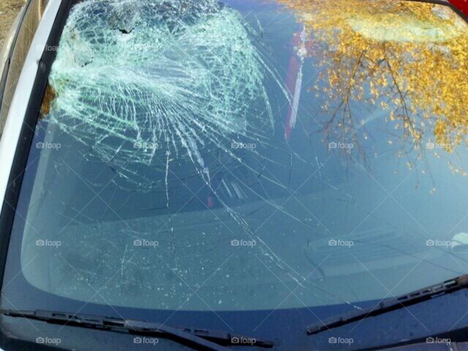 Broken Windshield 