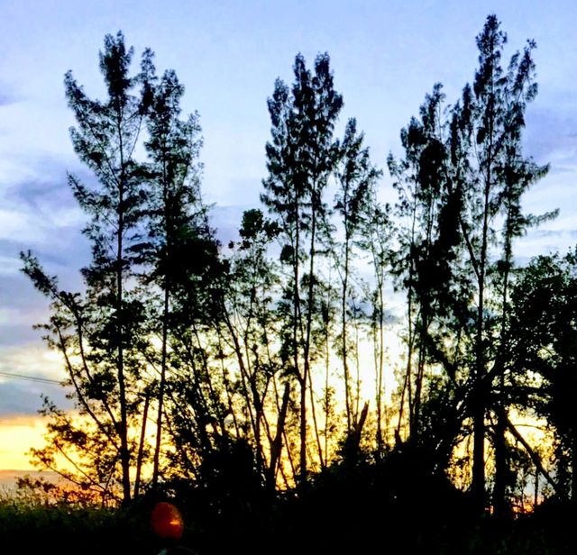 Florida Sunset
