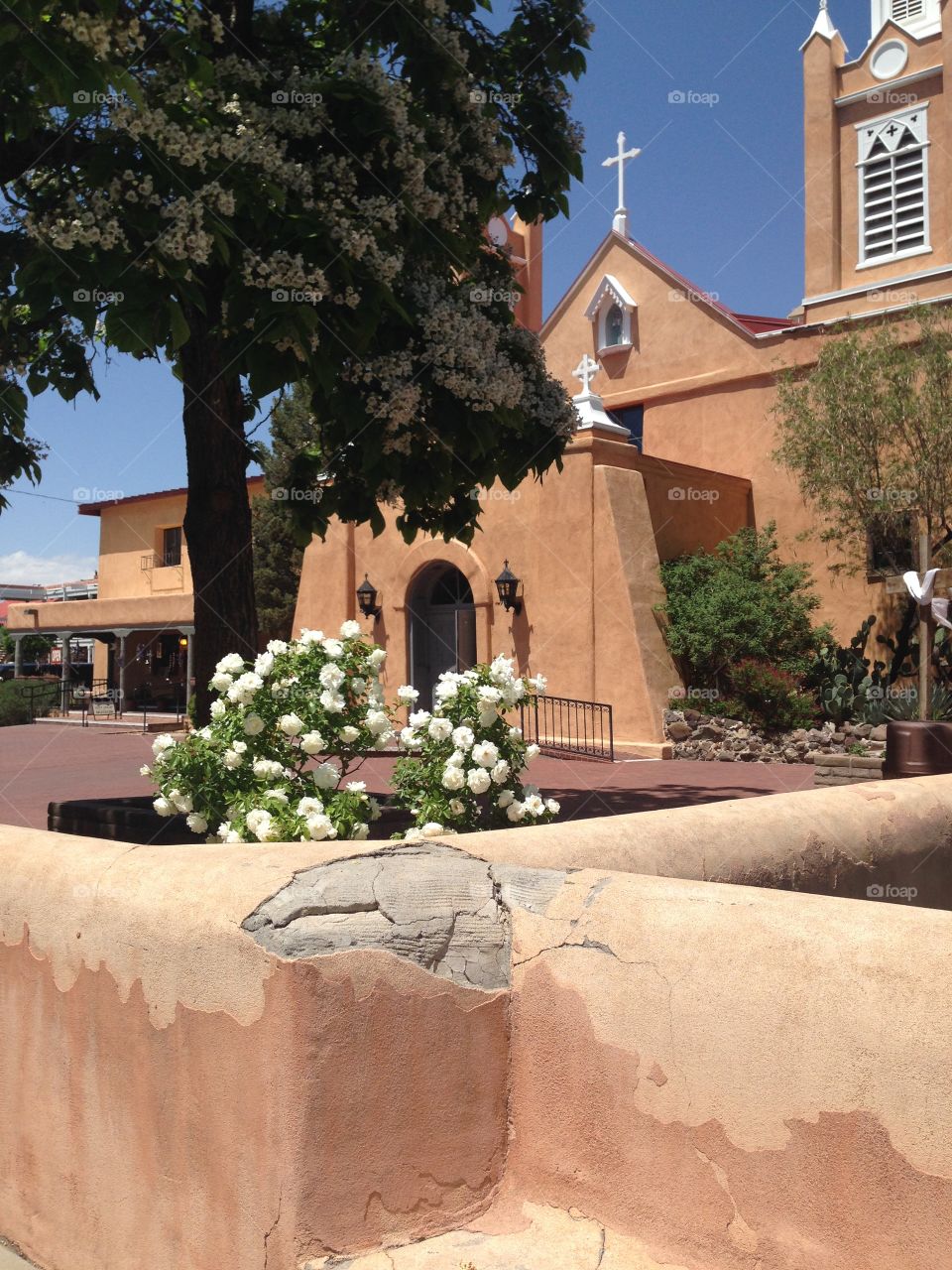 Albuquerque church