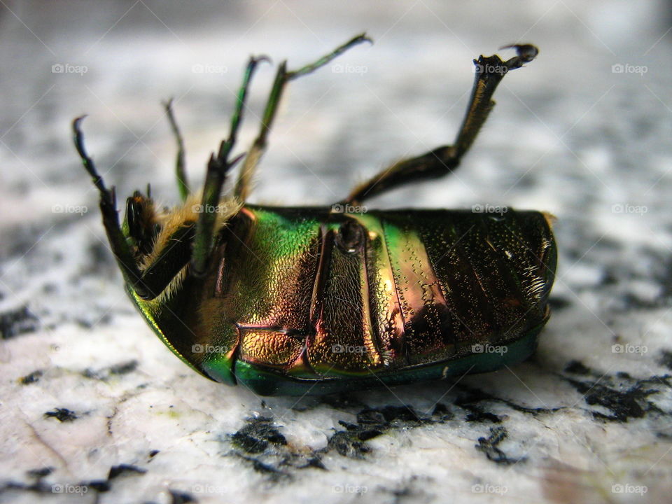 Upside down. The world looks quite different like this! 