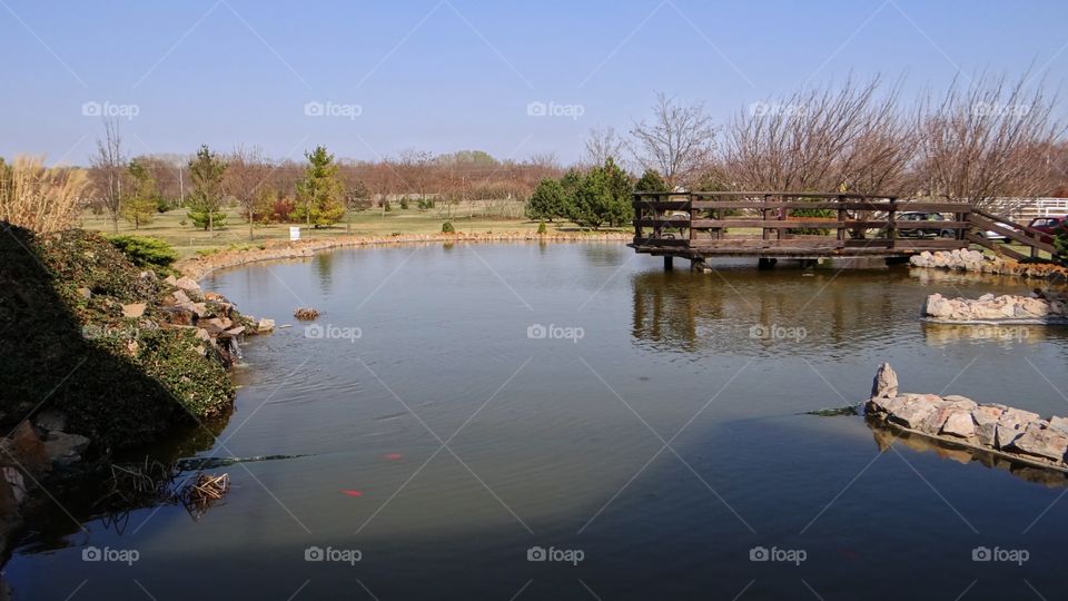 Lake on a farm