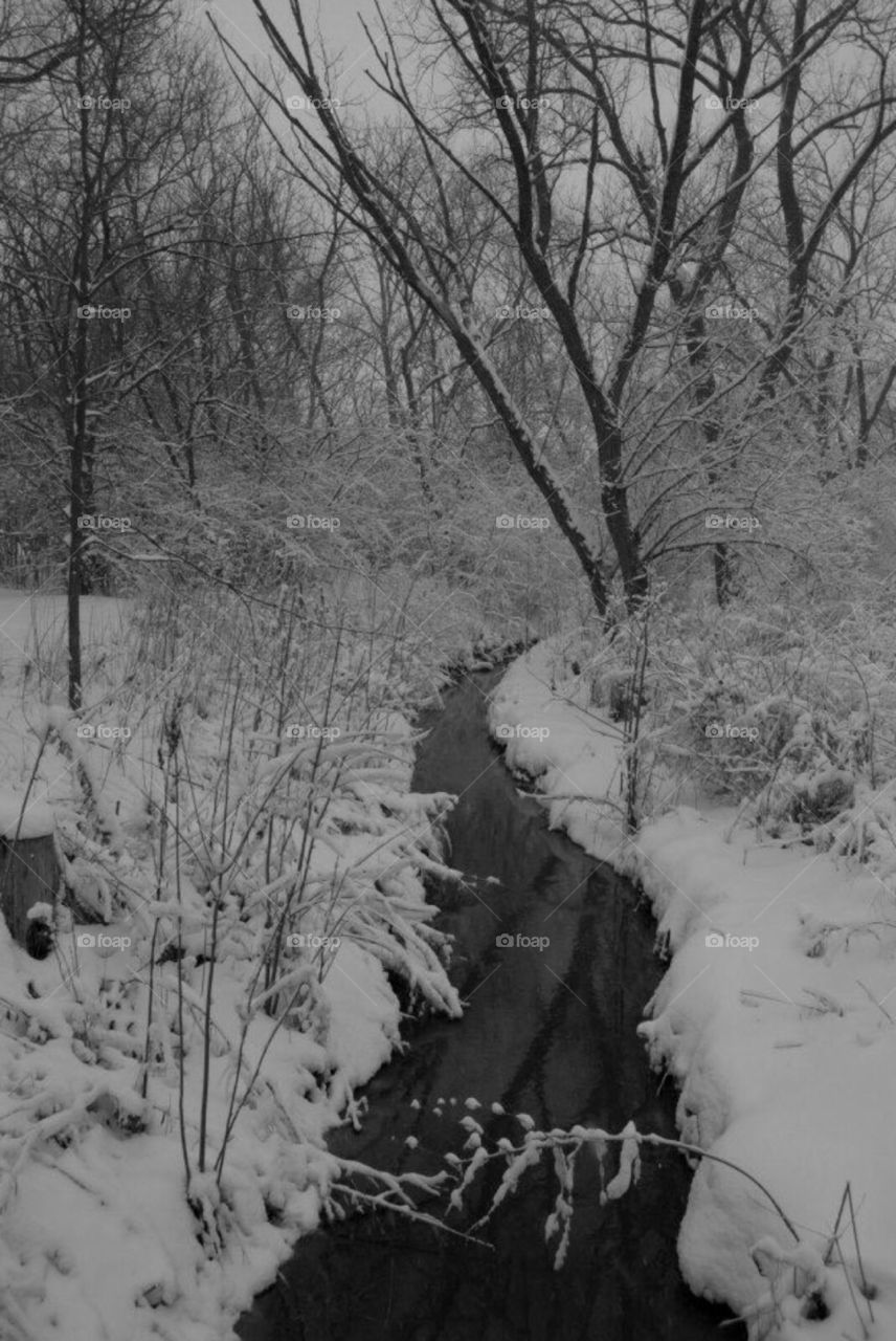 Snowfall by the creek . Fresh falling snow in the Midwest.